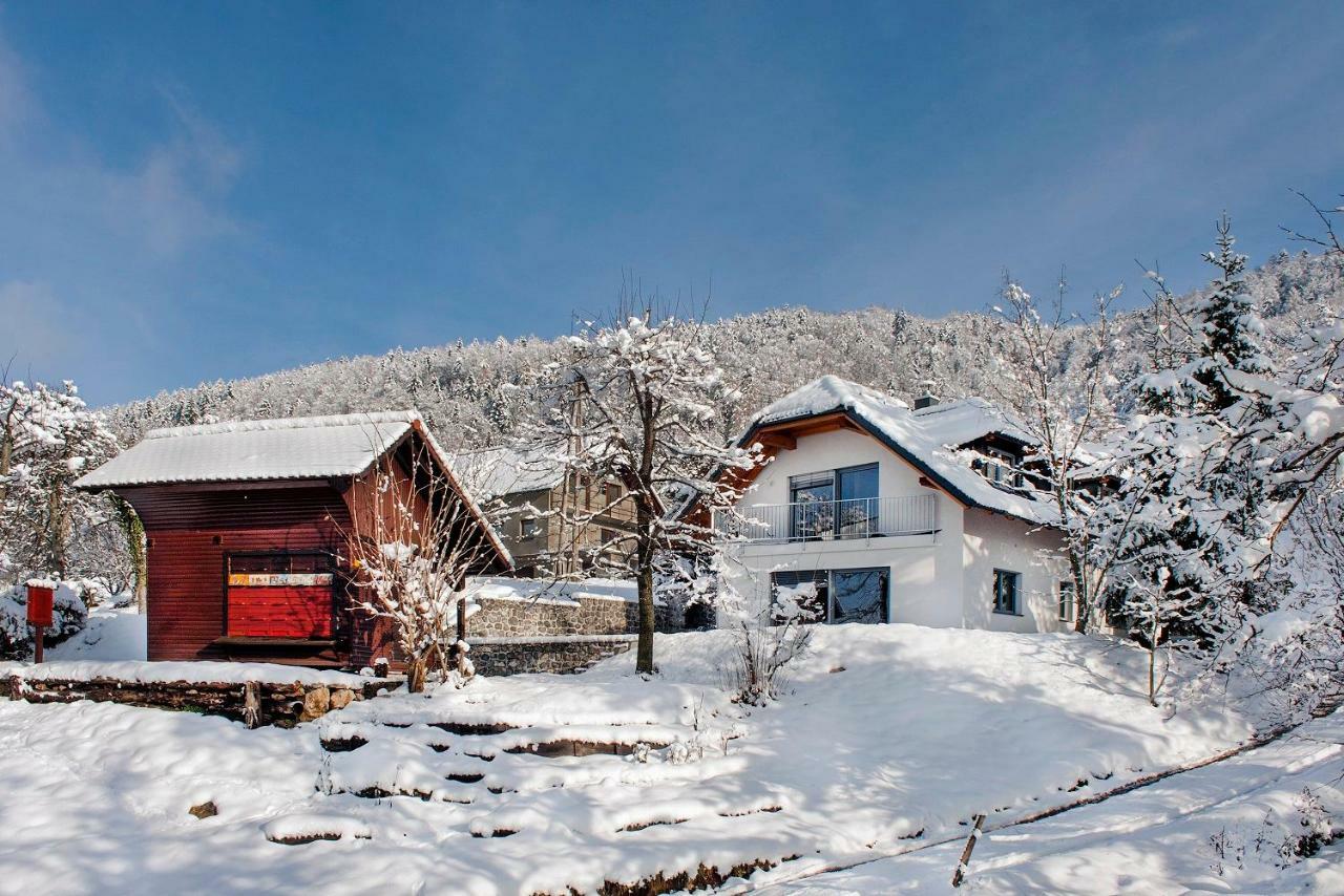 Apartments Sivka - Private Sauna Церкле на Горенскем Екстериор снимка